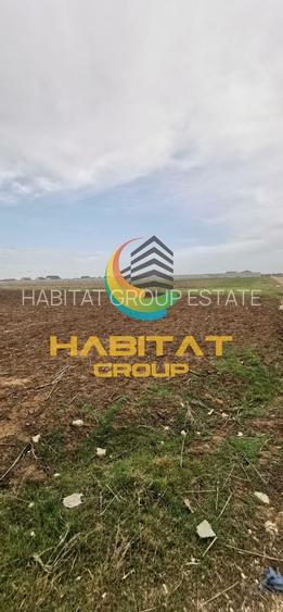 Teren intravilan 1.488 mp Dealul Floreni Berceni Comision 0% - 2