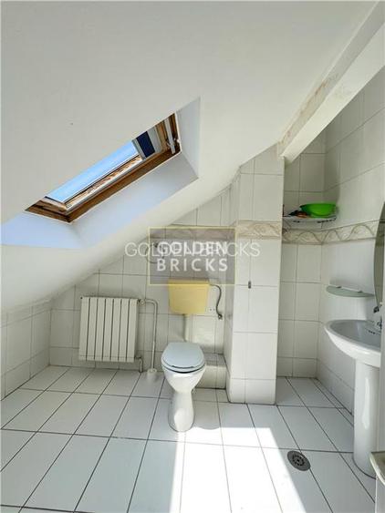 Baneasa | Piata Aviatiei | Vila Individuala | 7 camere si anexe - 12