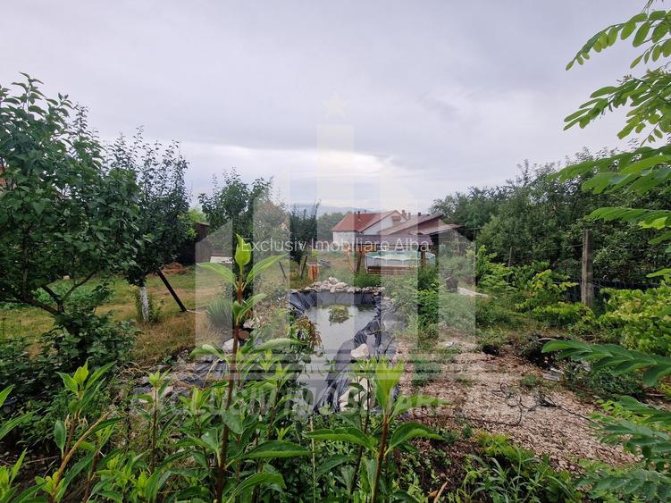 Casa individuala | 1 nivel | 140 mp | 2000 mp de teren | Ciugud - 10