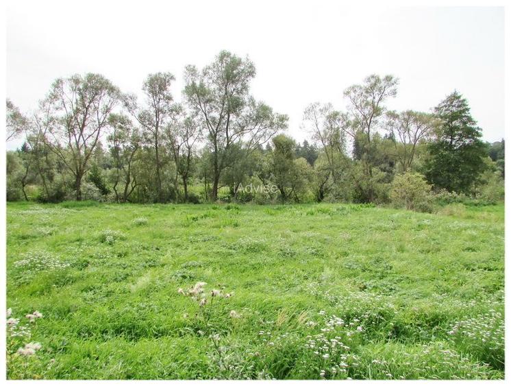 Casa deosebita cu gradina generoasa Vladeni - 22