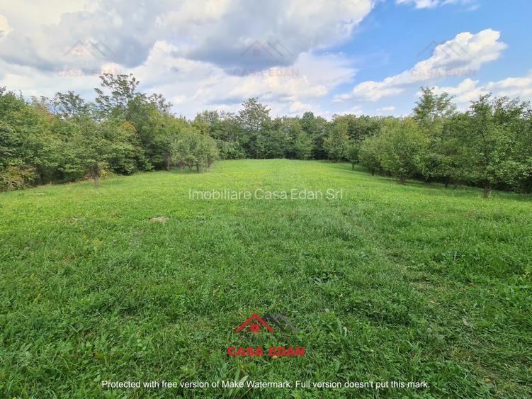 ●Teren intravilan in Poiana Campina,zona retrasa,3287 mp,10e● - 7