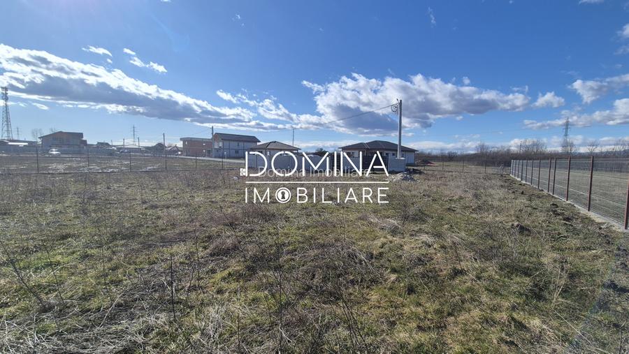 Vanzare teren intravilan imprejmuit - zona linistita, Dragutesti - 4