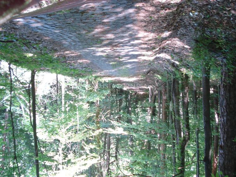 Conac istoric clasa B, 13 ha teren, valoare istorica - 21