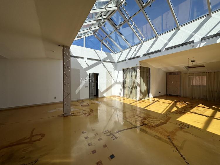 Vila Impozanta Langa Parcul Gradina Icoanei - 3