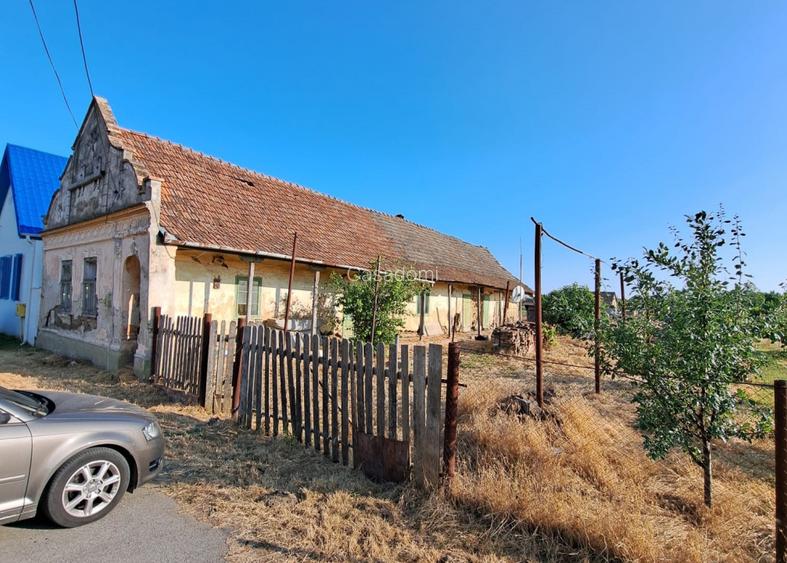Teren cu livada si Casa veche in Șandra - 2