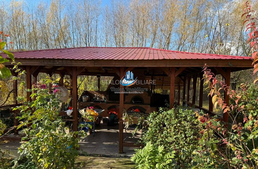 Casa 240 mp utili P+M, 9000 mp teren, Girov, Jud. Neamt - 12