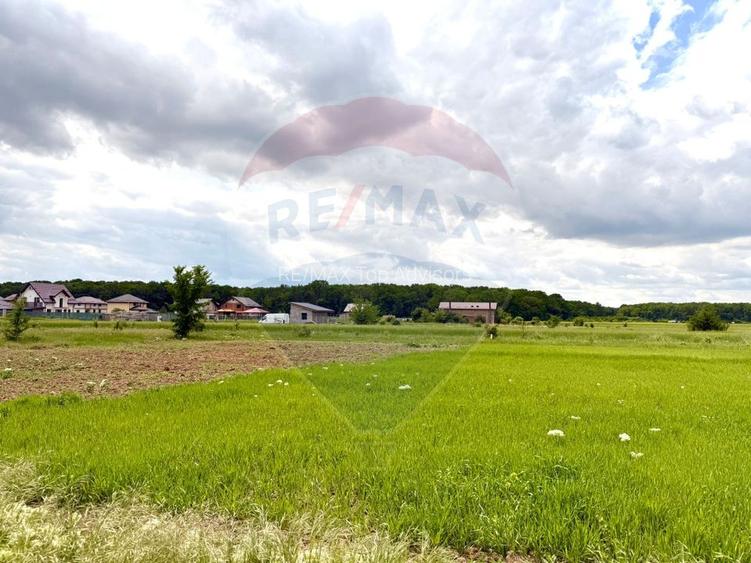 DE VANZARE Casa 3 camere/ teren 550 mp Cosoba / Giurgiu - 44