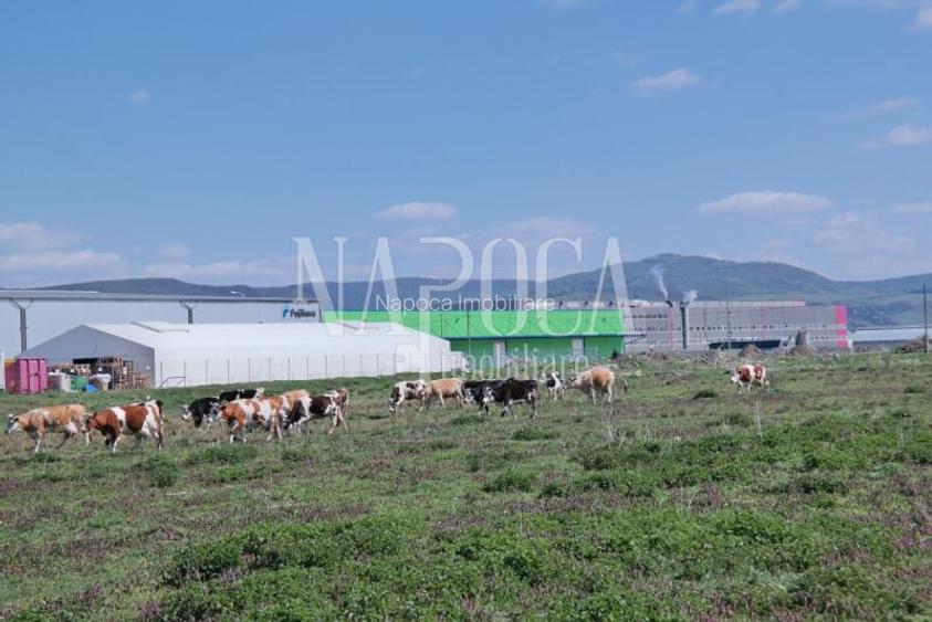 Teren intravilan pentru constructii de vanzare in Dej... - Comision 0% - 4