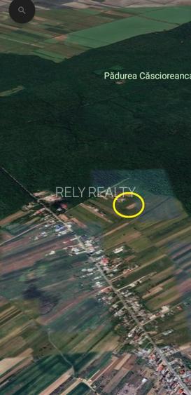 Vanzare teren Bolintin Vale / Malu Spart / 1.000 mp / langa padure / proiect - 3