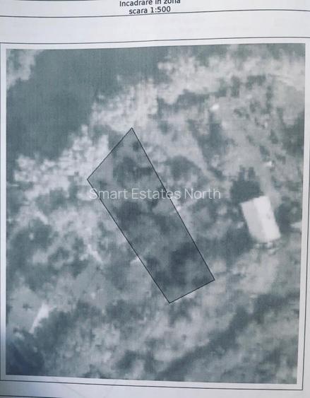 Lacul Snagov | Teren 1000 MP - d 24 m la lac | Pozitie excelenta | Gruiu  - 9