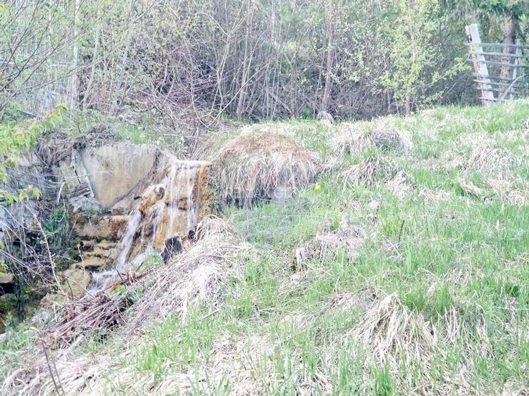 Teren cu vedere la Muntele Ceahlau - 30