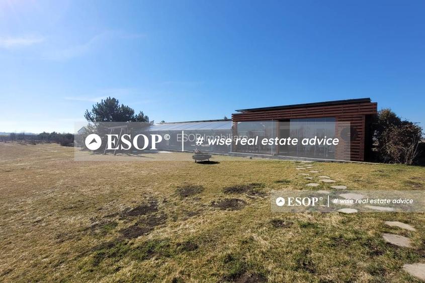 Teren de vanzare, Dascalu, ID 15402 - 8