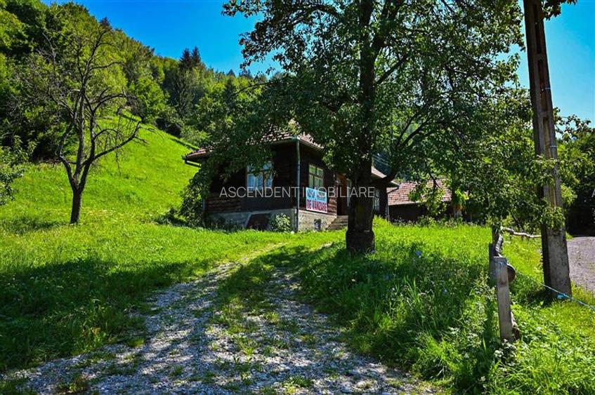 FILM! Proprietate autentica, Bran-Simon, 4.300 mp teren, casa traditionala + ane - 13