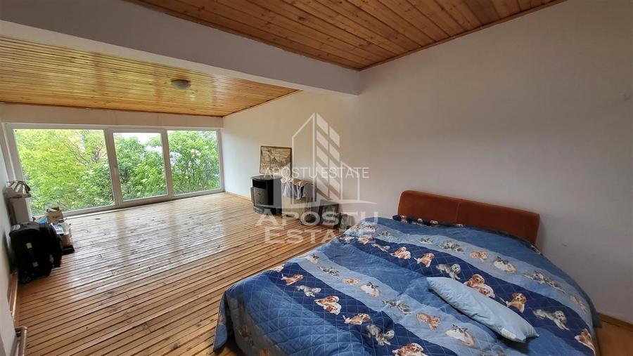 Casa ideala pentru birouri/alte activitati Mehala - 14