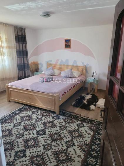 Vânzare casa la munte - zona turistica - Baia de Fier - 4