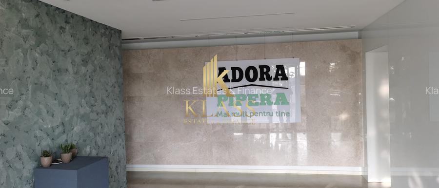 Studio cu nisa, Adora Pipera - 13