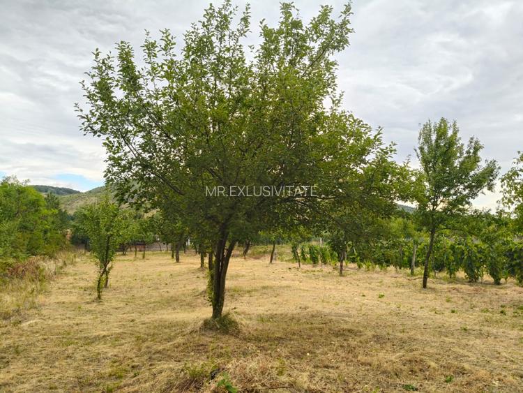 Terenuri intravilane alipibile în Runcu, zonă cu potențial - 6