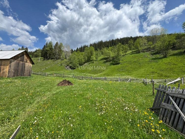 Vânzare teren 3,5 ha cu casă și anexe, Breaza de Sus, Suceava (malul Moldovei) - 4