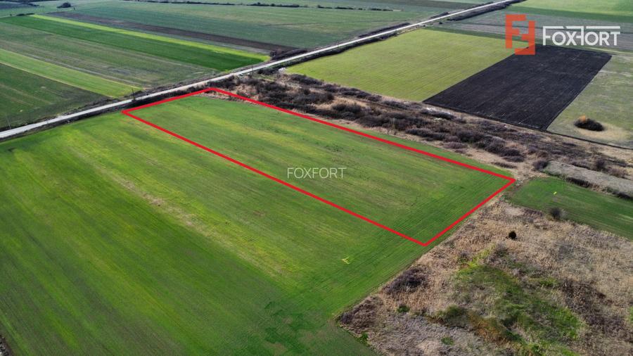 Teren industrial de vanzare de 25.000 mp, zona Deta - 4