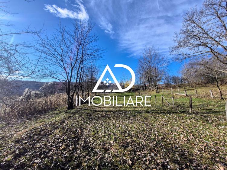 Proprietate de vanzare în Comuna Cernișoara – Sat Cernișoara, Județ Vâlcea - 10