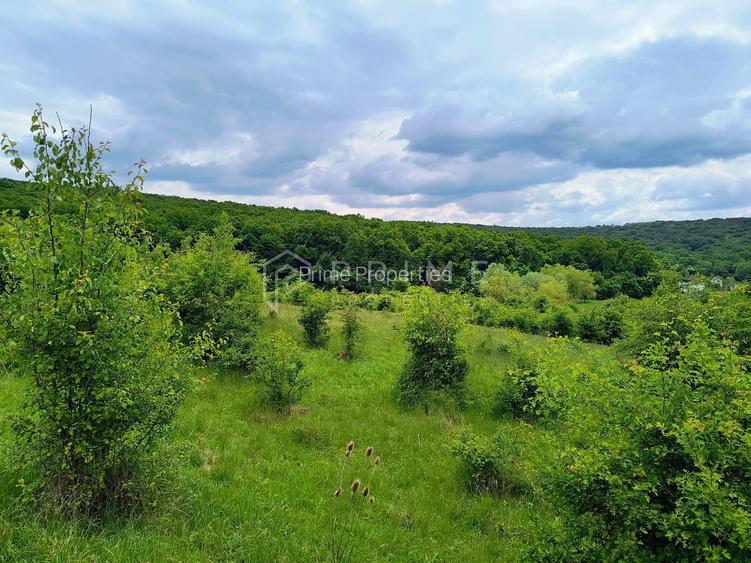 Oportunitate de investiție – 4 parcele în Corunca, 20 €/mp - 5