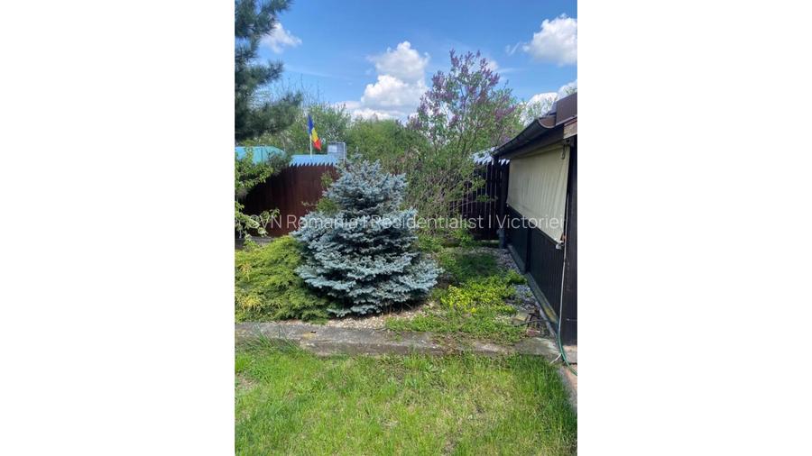 REV2005616 Casa de vacanta - Butimanu - langa lac - 8