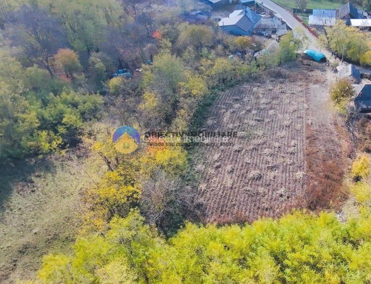 Teren de vânzare 11.766 mp – Costișa, județul Neamț - 10