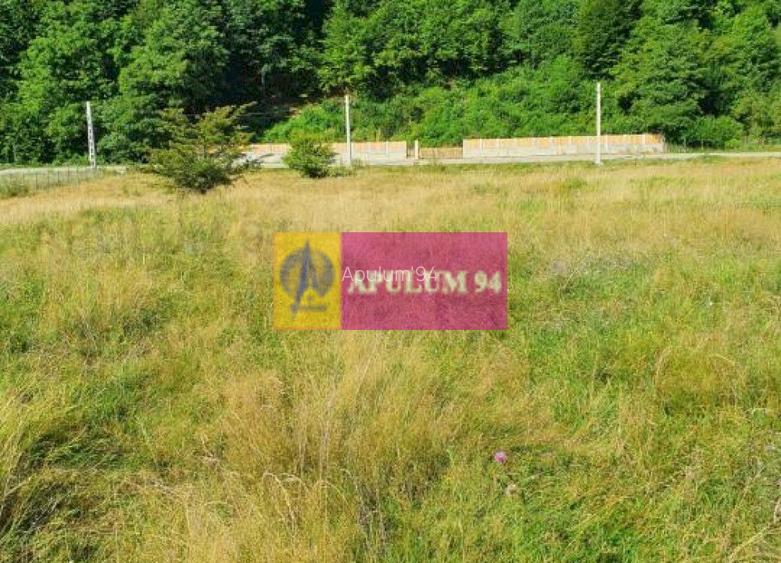 Teren Județul Vâlcea - Brezoi, Valea lui Stan - 12