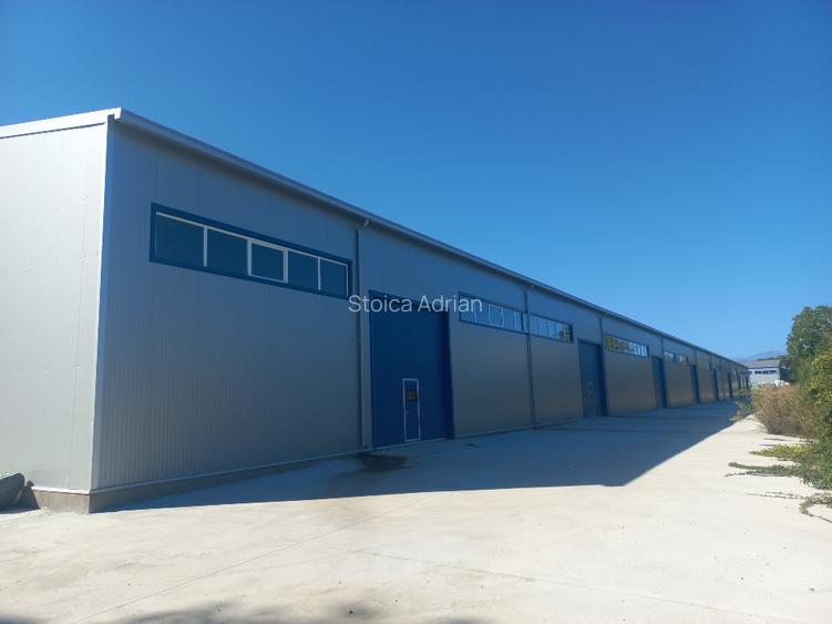 Hala productie sau depozitare 10000 mp - 3