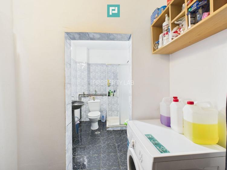 Casă individuală la Beregsău Mare, 2890 mp teren - 22