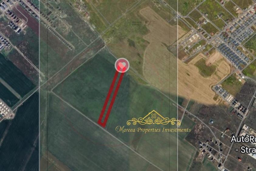Teren investiție Măgurele 17.500 mp