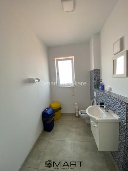 Birouri 20-250 mp zona Calea Dumbravii Sibiu - 10