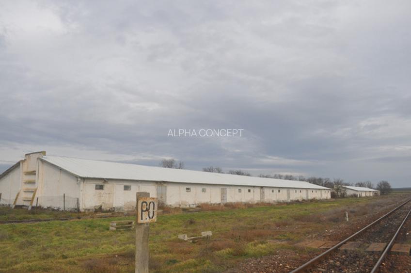 DEPOZIT CEREALE - CEAMURLIA DE JOS/STATIA CFR TVA INCLUS - 5