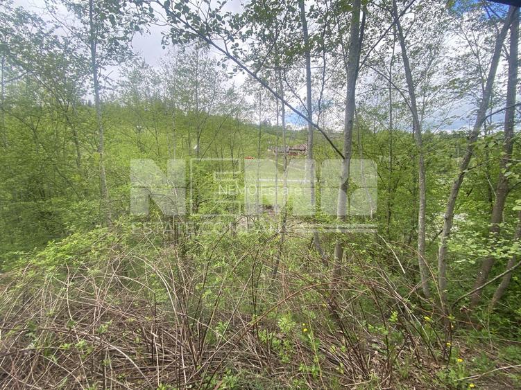 Teren Intravilan | Câmpulung Moldovenesc | 31ARI - 9