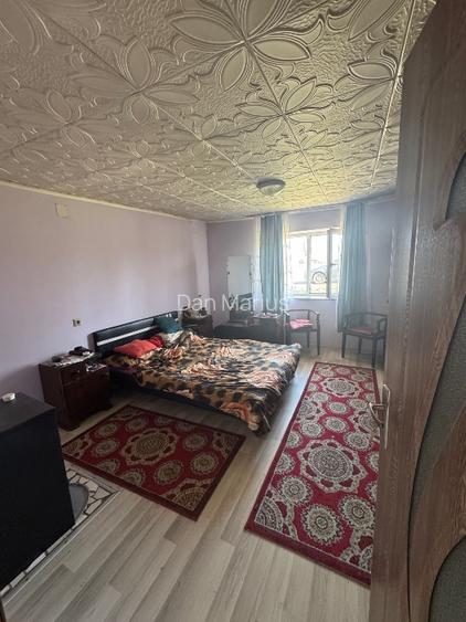 Casă de vânzare în comuna Cărpiniș jud Timis - 11