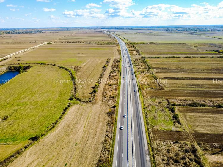 Terenuri industriale cu deschidere la A1, km 64 – Jugureni, Dambovita - 12