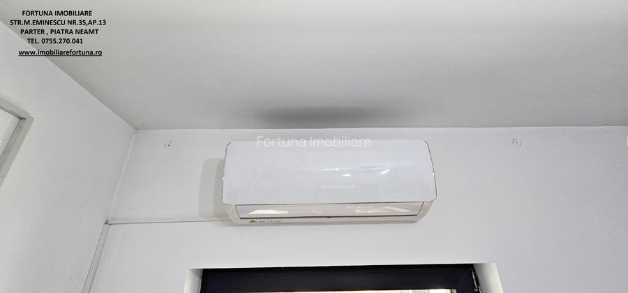 Proprietate moderna,multifunctionala,cu trafic auto si pietonal,Piatra Neamt - 6