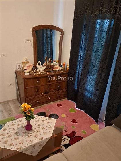 Casa Individuala Noua la 30 km de Timisoara - 14