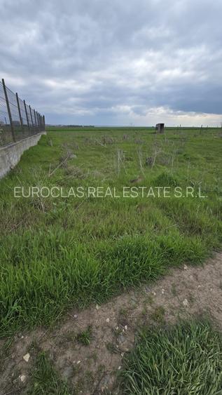 Teren intravilan 800 mp - Navodari - 56.000 euro (Cod E11+E12) - 2