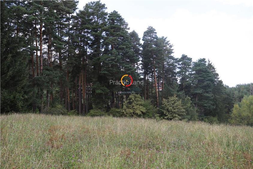 teren intravilan cu PUZ si PUD 2 loturi - 4