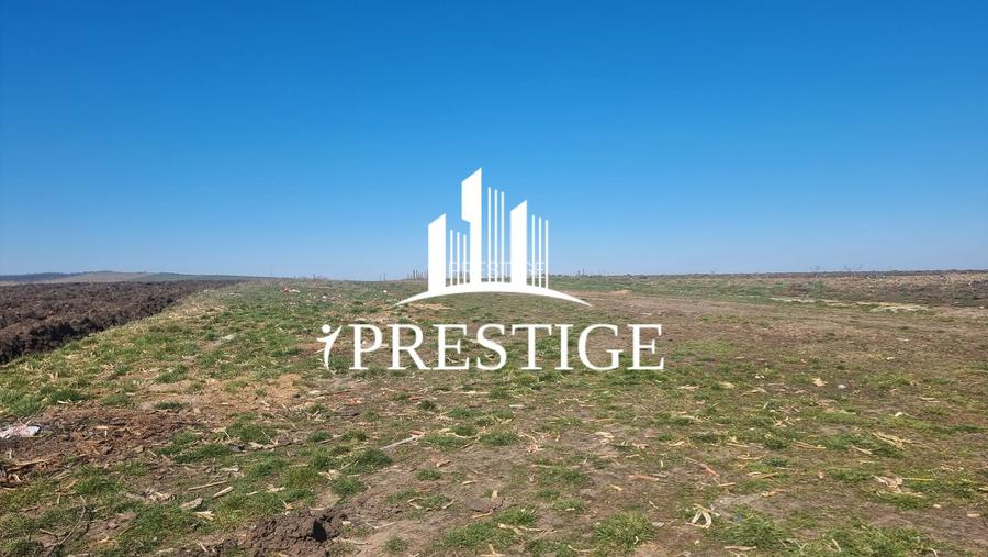 TEREN INTRAVILAN PENTRU CONSTRUCȚIE CASĂ | ȘURA MICĂ | PUZ APROBAT - 3