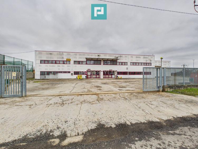Hală de producție, cu birouri și teren, în Sebiș - 49