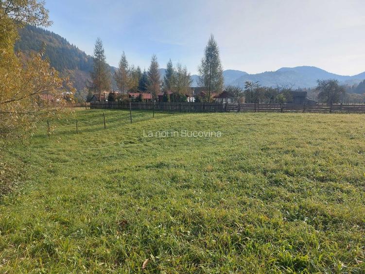 Spre vanzare teren 3662 mp in Campulung Moldovenesc - 10