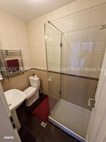 Apartament cu 3 camere - Kiseleff-Victoriei - for rent - 9