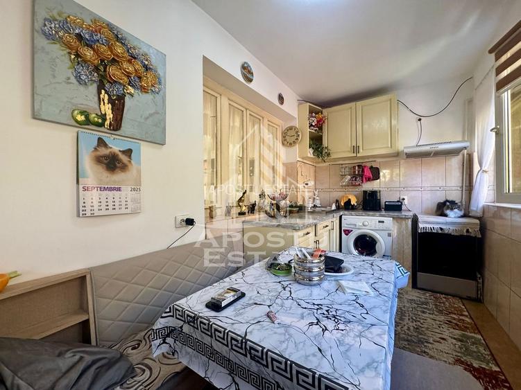 Apartament cu o camera la curte comuna, de vanzare,Iosefin,Timisoara - 9