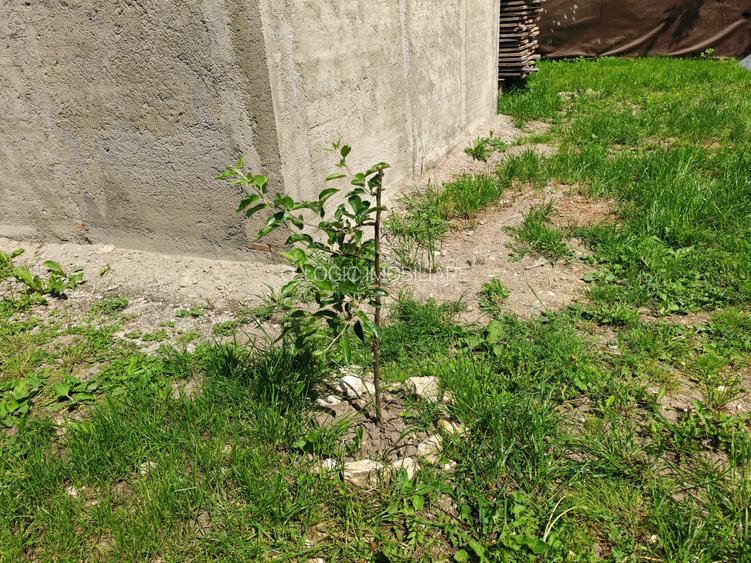 Casa 4 camere libera la vanzare RASNOV - zona Mihai Eminescu - 24