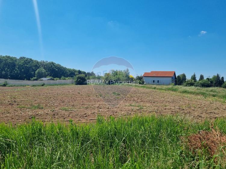 Teren 872,43 mp Snagov - 6