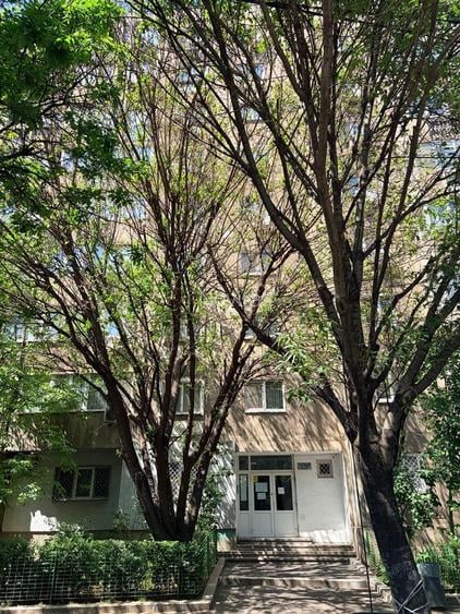 Apartament 3 camere 69 MP | Bloc 1992 | Bd. Gh. Sincai | Ideal familie - 15