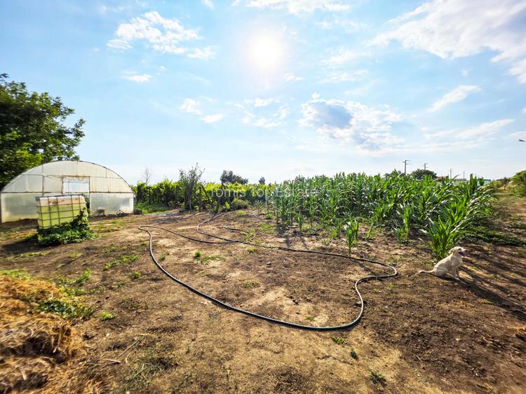 Ferma si casa de vanzare - teren intravilan, la 20min de Constanta! - 23