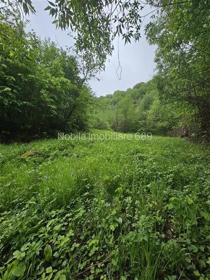 TEREN  PENTRU BUSSINESS 2842 MP DE VANZARE IN STATIUNEA  TARGU OCNA - 9